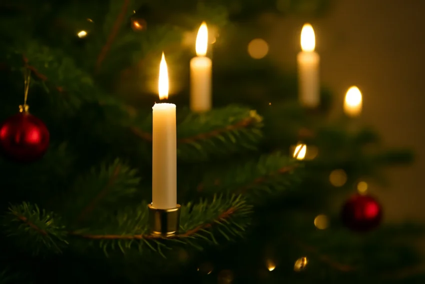 candles on trees for christmas